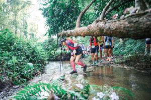 BIB: 
                            <button type="button" onclick="openModal(25454066)" class="btn btn-primary btn-sm float-right btn-popup" data-toggle="modal" data-target=".modal-high-quality">
                        <i class="fas fa-shopping-cart"></i> Add to Cart
                    </button>
                                            <button type="button" onclick="isThisMe(25454066, true)" class="btn btn-success btn-sm float-right btn-popup btn-isme hidden" data-toggle="tooltip" data-placement="bottom" title="นี่คือรูปของคุณใช่ไหม คลิกที่นี่เพื่อเอาเข้าอัลบั้ม">
                        <i class="fas fa-plus"></i> Add to album
                    </button>
                    <button type="button" onclick="isThisMe(25454066, false)" class="btn btn-warning btn-sm float-right btn-popup btn-isnotme hidden">
                        <i class="fas fa-ban"></i> Remove from album
                    </button>